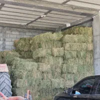 یونجه خشک سرپل ذهاب ۹ تن موجود