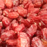 زرشک پفکی درجه یک