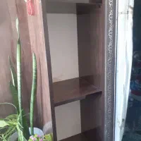جا کفشی