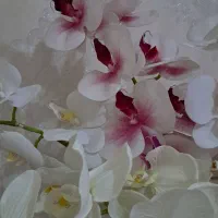 گل ارکیده و گلدان و تابلو و تزئینی|گل مصنوعی|شیراز, فرگاز|دیوار