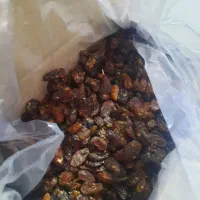 کشمش آفتابی وشیره انگور