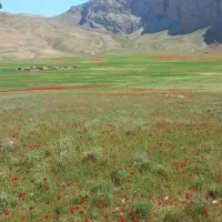 سلام دنبال خونه هستیم خانواده ۲نفرهستیم