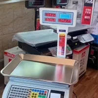 ترازو پرینتردار توزین صدر مدل vista