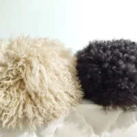 تلپک نو