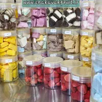 میوه خشک / بستنی خشک