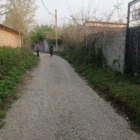 زمین روستایی در گیلان، لشت نشا،روستای پسبیجار گفشه|فروش زمین و ملک کلنگی|لشت نشا, |دیوار