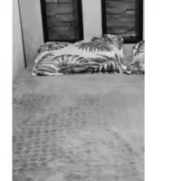 تخت تشک پاتختی ام دی اف