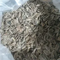 کنجد بادام کنجد