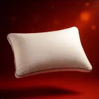 بالشت/طبی/هتلی/رویال هدیه/دیسک گردن وکمر