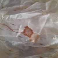 پرده با طرح زیبا و رو میزی|پرده، رانر، رومیزی|قم, انصارالحسین|دیوار