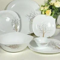 سرویس غذاخوری آرکوپال|ظروف سرو و پذیرایی|یاسوج, |دیوار