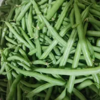 لوبیاسبز ارگانیک