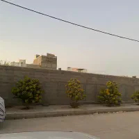 سه واحدی تنگک دوم|فروش آپارتمان|بوشهر, |دیوار