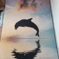 فرش و پادری