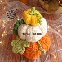 کدو بافتنی، کدو دکوری، کدو شب یلدا