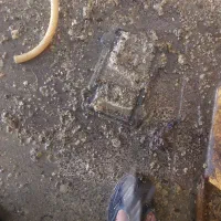 نظافت.منزل.راه پله باباامیرونگین ثبت 425312771|خدمات نظافت|دماوند, دماوند|دیوار