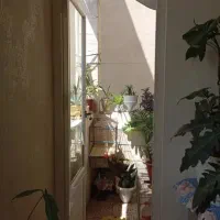 اجاره آپارتمان ۴۵متربوریایی استثنایی زیرقیمت منطقه|اجارهٔ آپارتمان|تهران, ارامنه|دیوار