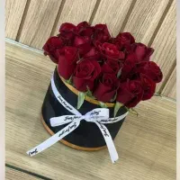 باکس گل رز (هانیل گل)