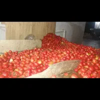 مرکز تولید و پخش رب گوجه و شیره خرما و انگور|عمده‌فروشی|قم, شهرک سازمان آب|دیوار