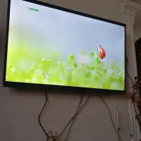 ال ای دی 50اینچ هایسنس