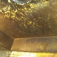 نظافتی|خدمات نظافت|ارومیه, |دیوار