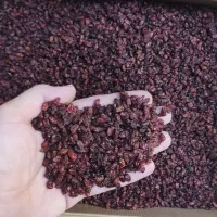 زرشک اناری تیره رنگ مناسب رستوران و آبگیری عمده|خوردنی و آشامیدنی|تهران, جیحون|دیوار
