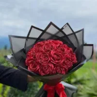 رنگ های مختلف گل