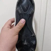 کفش ورزشی|کیف، کفش، کمربند|تبریز, |دیوار