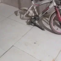 دوچرخه سه عدد|دوچرخه، اسکیت، اسکوتر|اهواز, کوی علوی|دیوار