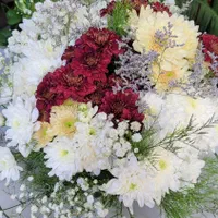 داوودی بسته ای ۱۰۰ تومن|گل و گیاه طبیعی|شیراز, خلدبرین|دیوار