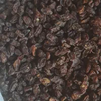 کشمش و مویز|خوردنی و آشامیدنی|بیضا, |دیوار