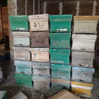 کندو زنبور عسل|حیوانات مزرعه|سنندج, |دیوار