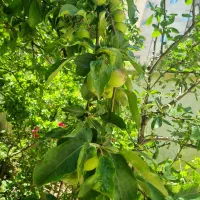 ویلایی در اردبیل(قابل معاوضه باآپارتمان در تهران)