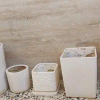 تعدادی گلدان|گل و گیاه طبیعی|شیراز, تحویلی|دیوار