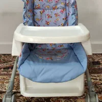 کالسکه و گهواره|کالسکه و لوازم جانبی|کبودرآهنگ, |دیوار