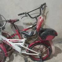 دو عدد دوچرخه