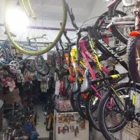 آرش بایسی کل نسیم شهر