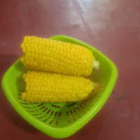 پوست انجک
