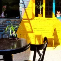 ادمین و تولید محتوا