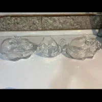 اجیل خوری