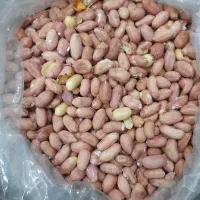 بادام زمینی