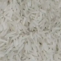 برنج فجر سوزنی