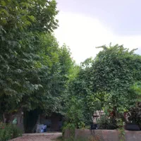 فروش یا تهاتر باغشهری گودگویم