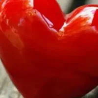 مدارک پیداشده