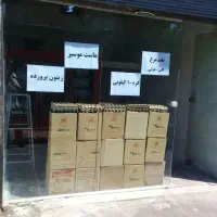 پخش مواد غذایی