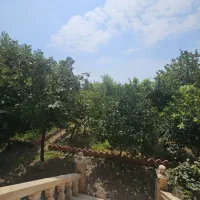 فروش ویلاباغ 550متری در400متری دریا|فروش خانه و ویلا|زیباکنار, |دیوار