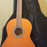 گیتار پارسی M6