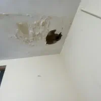 نیاز به ۵۰هزار تومن پول برای قرض