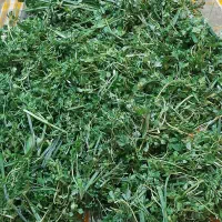 سبزی جات آماده قرمه کوکو اش ترشی و شور|خوردنی و آشامیدنی|فردیس, شهرک هفده شهریور|دیوار