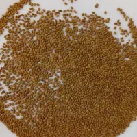 بذر|عمدهفروشی|شراء, |دیوار